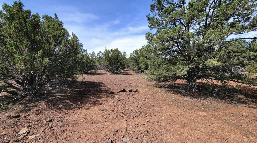 133 & 127 County Road N3314, Vernon, AZ