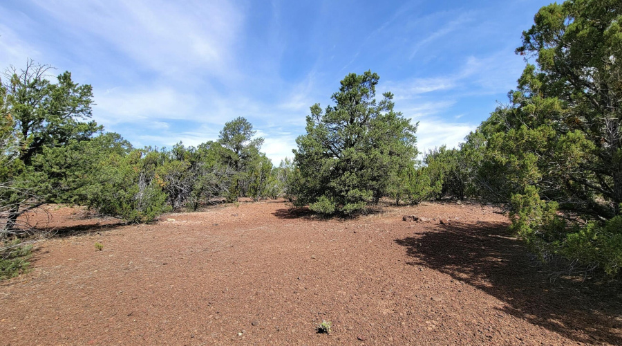 133 & 127 County Road N3314, Vernon, AZ