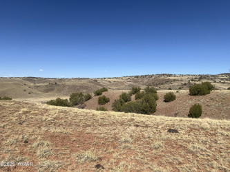 TBD County Road N5335, Concho, Arizona 85924, ,Land,For Sale,County Road N5335,256204