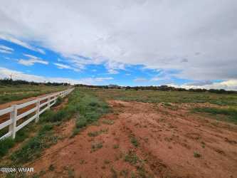 TBD Caldwell Cyn Road, Snowflake, Arizona 85937, ,Land,For Sale,Caldwell Cyn,256200