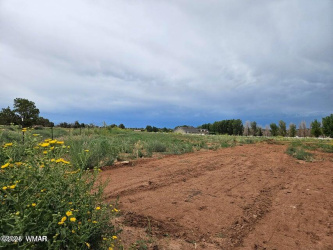 TBD Caldwell Canyon Road, Snowflake, Arizona 85937, ,Land,For Sale,Caldwell Canyon,256201