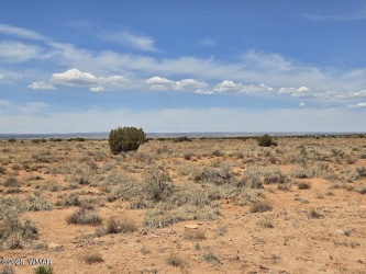TBD Clyde Road, Snowflake, Arizona 85937, ,Land,For Sale,Clyde,256210