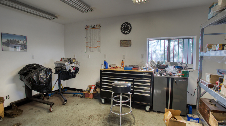 Paxmanphoto_PAX_3462