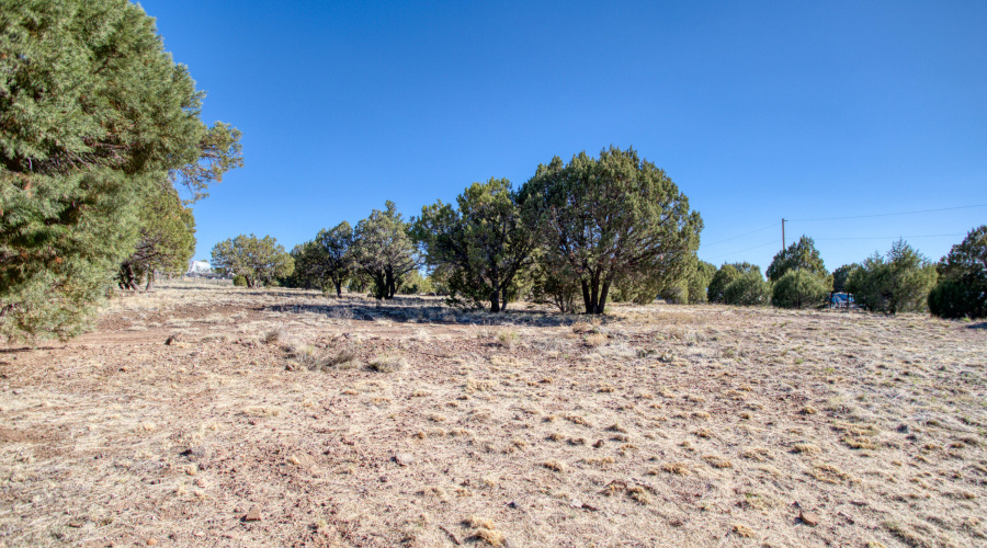 Paxmanphoto_PAX_3430