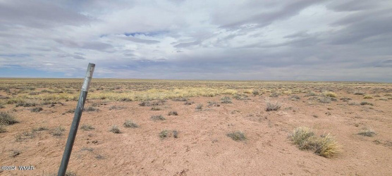 Lot 277 River Meadows Ranch, Concho, Arizona 85924, ,Land,For Sale,River Meadows Ranch,252809