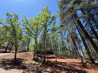 4080 Skyline Terrace, Pinetop, Arizona 85935, ,Land,For Sale,Skyline,256235