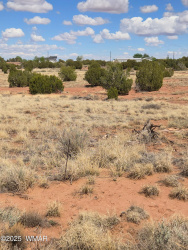 4.02 Dewitt, Snowflake, Arizona 85937, ,Land,For Sale,Dewitt,256241
