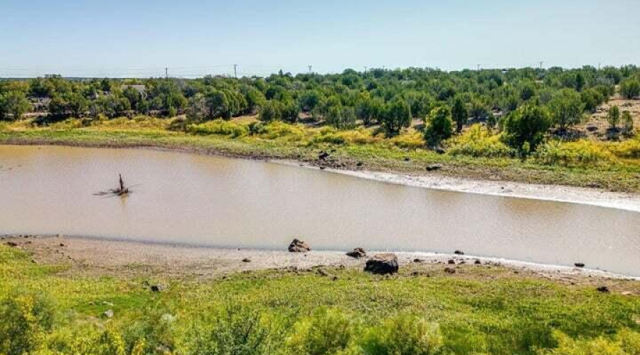 20250324010143612259000000-o