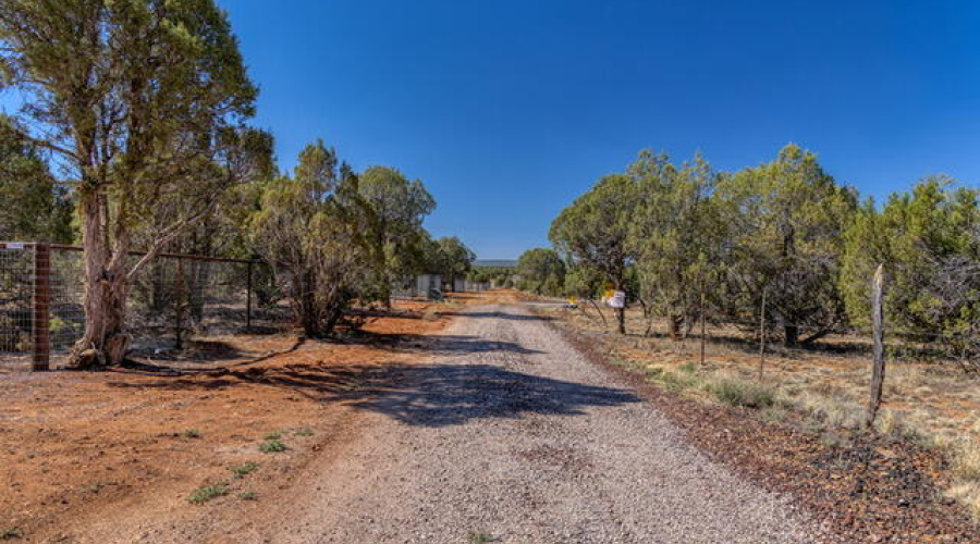 photo(5) Willis Bros Mgmt LLC Lindy 0521