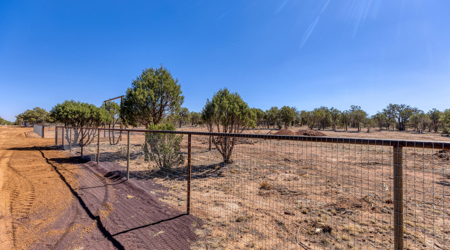 photo(9) Willis Bros Mgmt LLC Lindy 0521