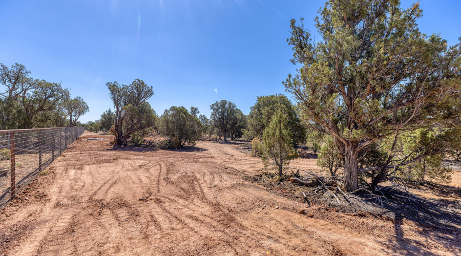 photo(15) Willis Bros Mgmt LLC Lindy 052