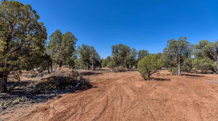 photo(16) Willis Bros Mgmt LLC Lindy 052