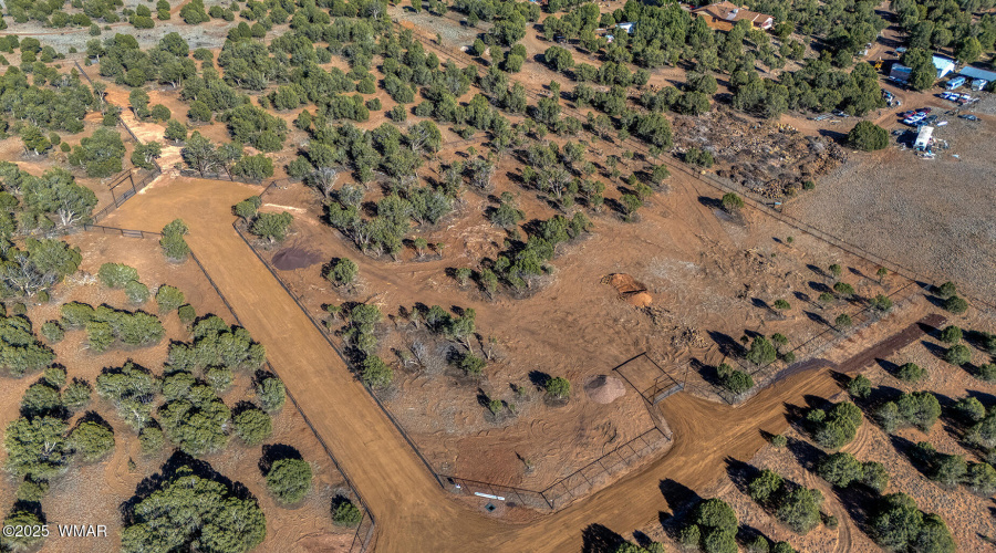 photo(11) Willis Bros Mgmt LLC Lindy 052