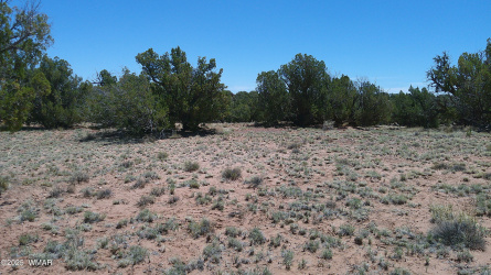 TBD Rio Ranch, Concho, Arizona 85924, ,Land,For Sale,Rio Ranch,256232