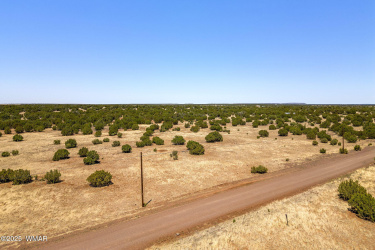 8770 Supancheck Road, Show Low, Arizona 85901, ,Land,For Sale,Supancheck,256245
