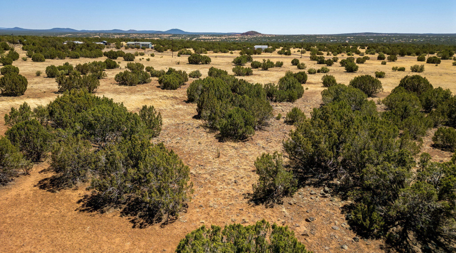 8770SupancheckRd-ShowLow-AZ-13