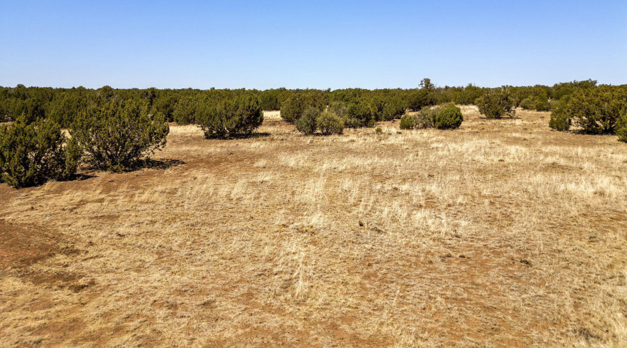 8770SupancheckRd-ShowLow-AZ-14