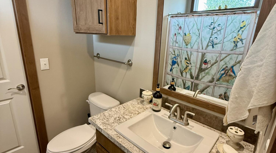 Jack & Jill bathroom 3