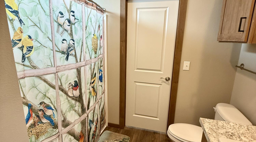 Jack & Jill bathroom 3