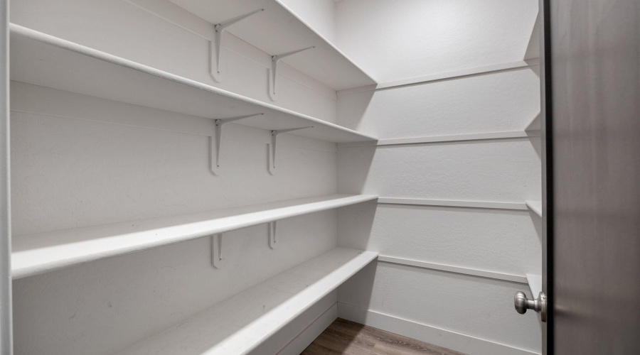 Owners Walk in Closet