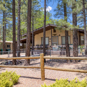 2 Bed 2 Bath Home in Show Low, AZ
