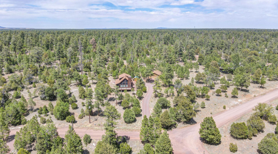 dji_fly_20250529_140300_260_174864691695