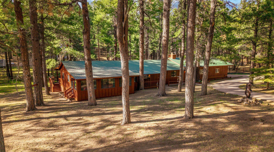 2499CanyonDr-ForestLakes-AZ-1