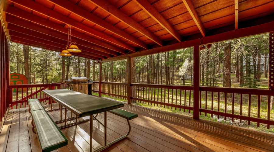 2499CanyonDr-ForestLakes-AZ-26