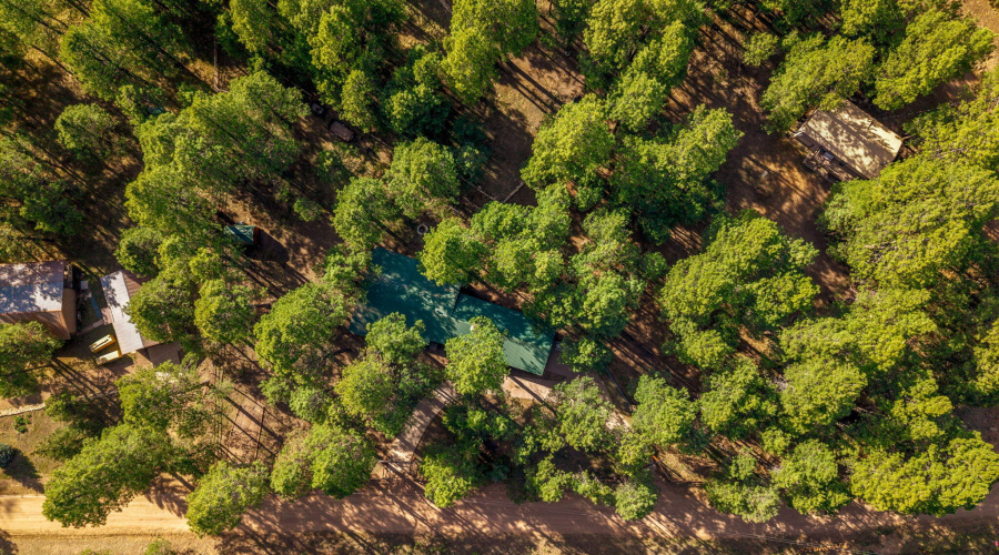 2499CanyonDr-ForestLakes-AZ-32