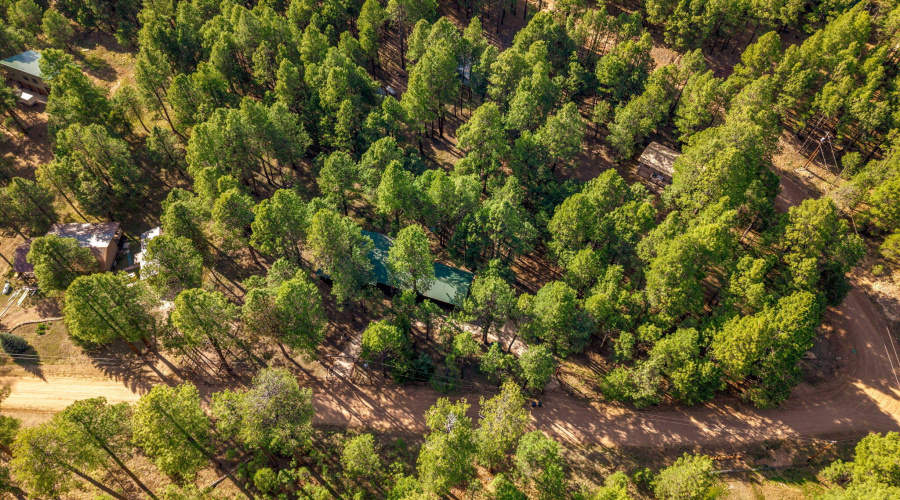 2499CanyonDr-ForestLakes-AZ-33