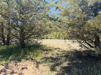 0000 Juniper Road, Strawberry, Arizona 85544, ,Land,For Sale,Juniper,92307