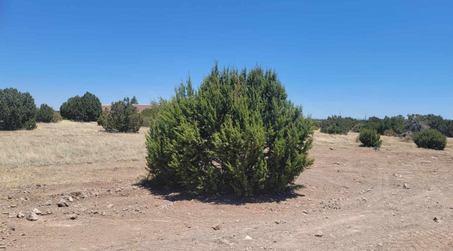 View from the Street