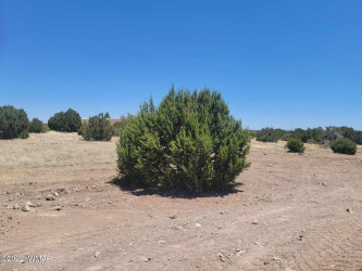 8430 Lake View Drive, Show Low, Arizona 85901, ,Land,For Sale,Lake View,246101