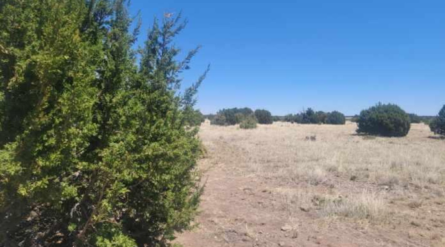 Resized_20220601_111653