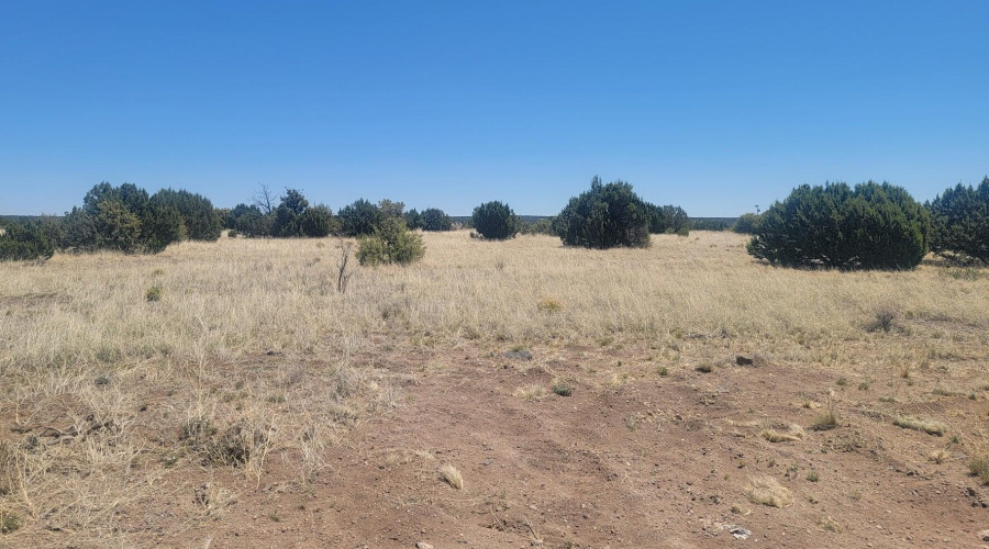 Resized_20220601_111736