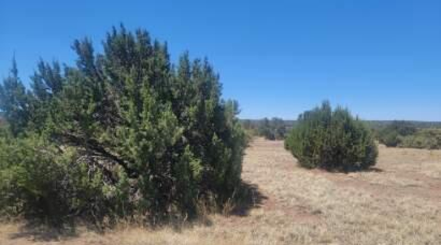 Front View of the Lot