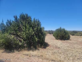 8435 Lake View Drive, Show Low, Arizona 85901, ,Land,For Sale,Lake View,246102