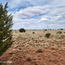 TBD Glasgow Drive, Snowflake, Arizona 85937, ,Land,For Sale,Glasgow,256291