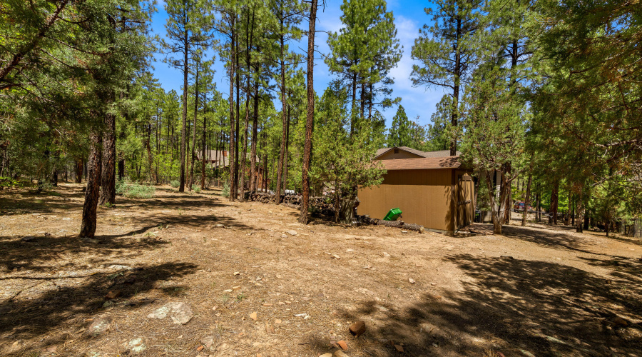 1180SWaterwayLn-ShowLow-AZ-27