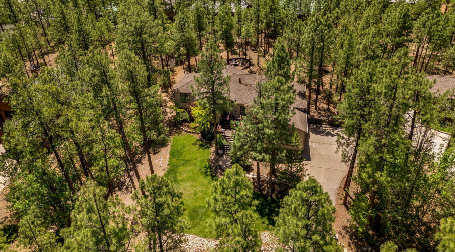 1180SWaterwayLn-ShowLow-AZ-28