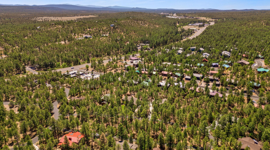 1180SWaterwayLn-ShowLow-AZ-31