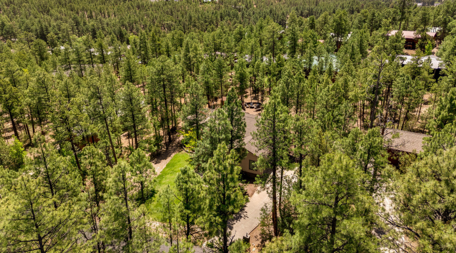 1180SWaterwayLn-ShowLow-AZ-32