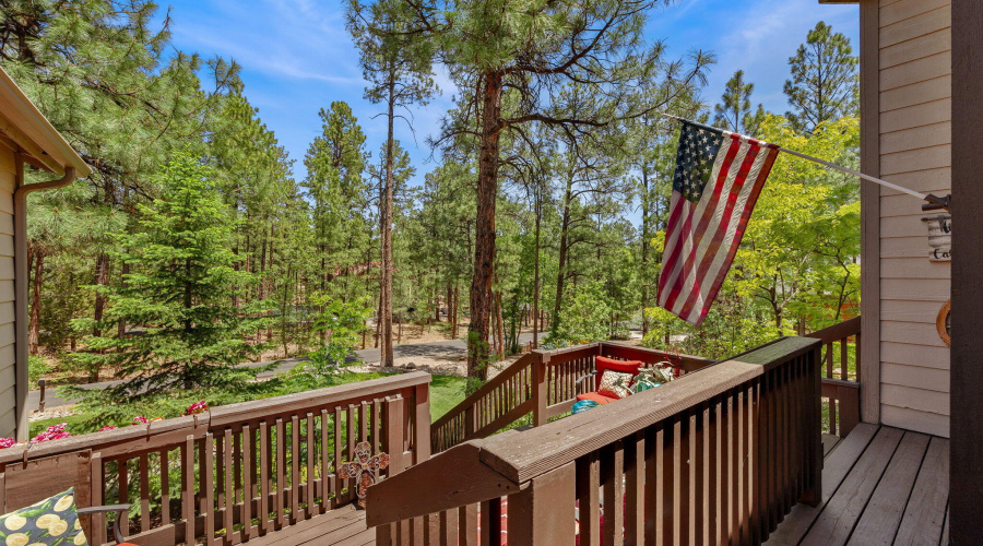 1180SWaterwayLn-ShowLow-AZ-4