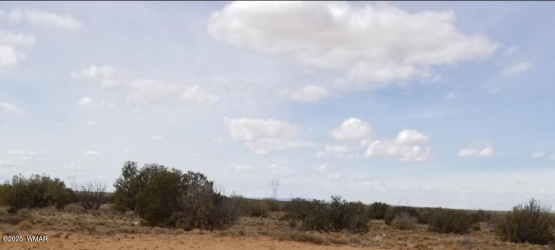 282 Chevelon Canyon Ranch, Heber, Arizona 85928, ,Land,For Sale,Chevelon Canyon Ranch,256314
