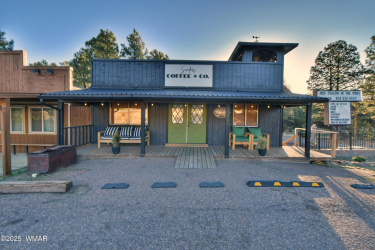 1900 State Route 260, Overgaard, Arizona 85933, ,Commercial,For Sale,State Route 260,256295