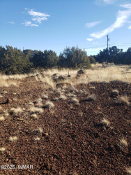 1786 Doughty Place, Show Low, Arizona 85901, ,Land,For Sale,Doughty,256300