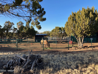 8850 Supancheck Road, Show Low, Arizona 85901, ,Land,For Sale,Supancheck,256298