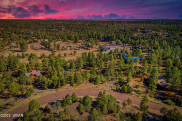 2794 SkyHawk Drive, Overgaard, Arizona 85933, ,Land,For Sale,SkyHawk,256313