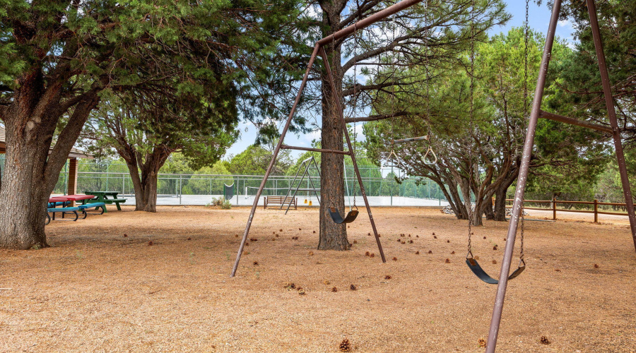 SWINGS AT THE PARK