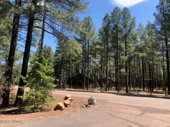 4660 Bucksprings Road, Pinetop, Arizona 85935, ,Land,For Sale,Bucksprings,256307